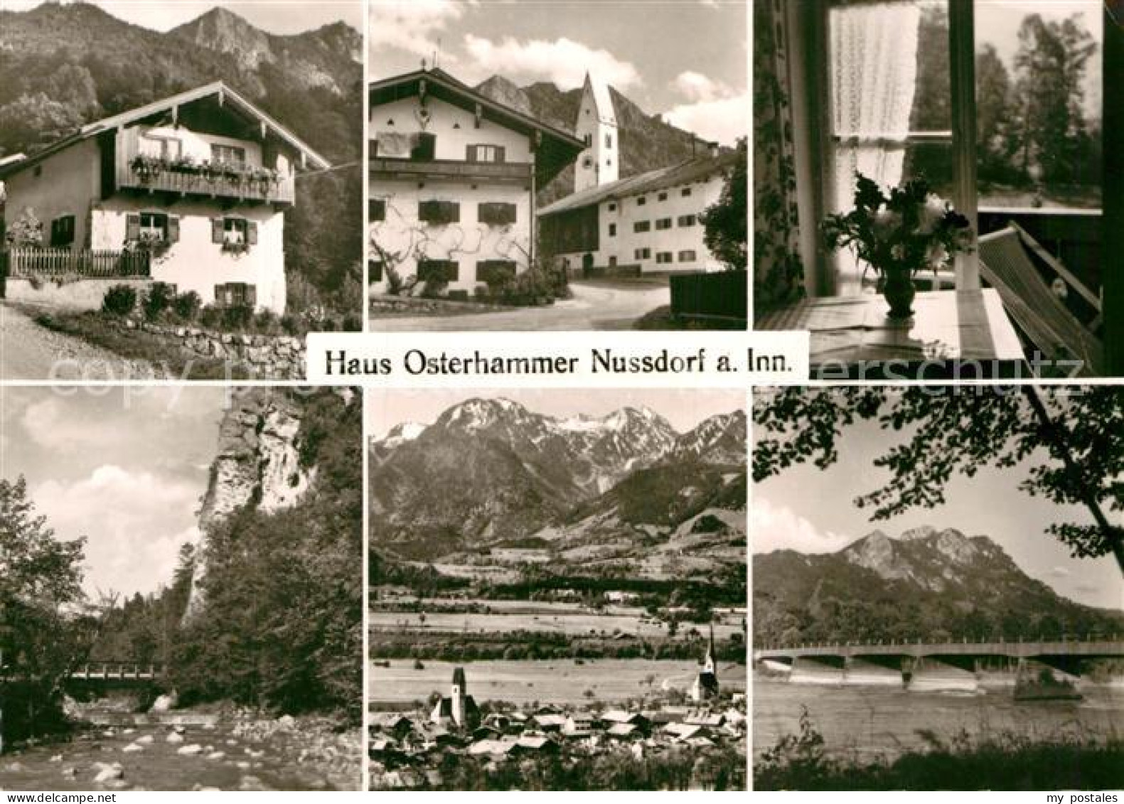 72971190 Nussdorf Inn Haus Osterhammer  Nussdorf Inn - Other & Unclassified