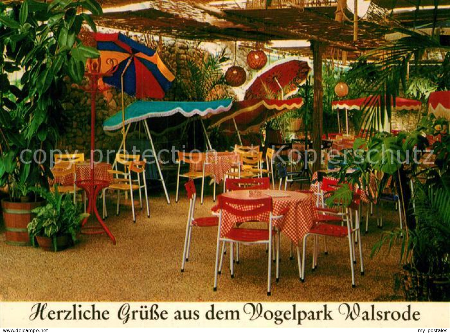 72969851 Walsrode Lueneburger Heide Vogelpark Restaurant Paradieshalle Altenboit - Walsrode