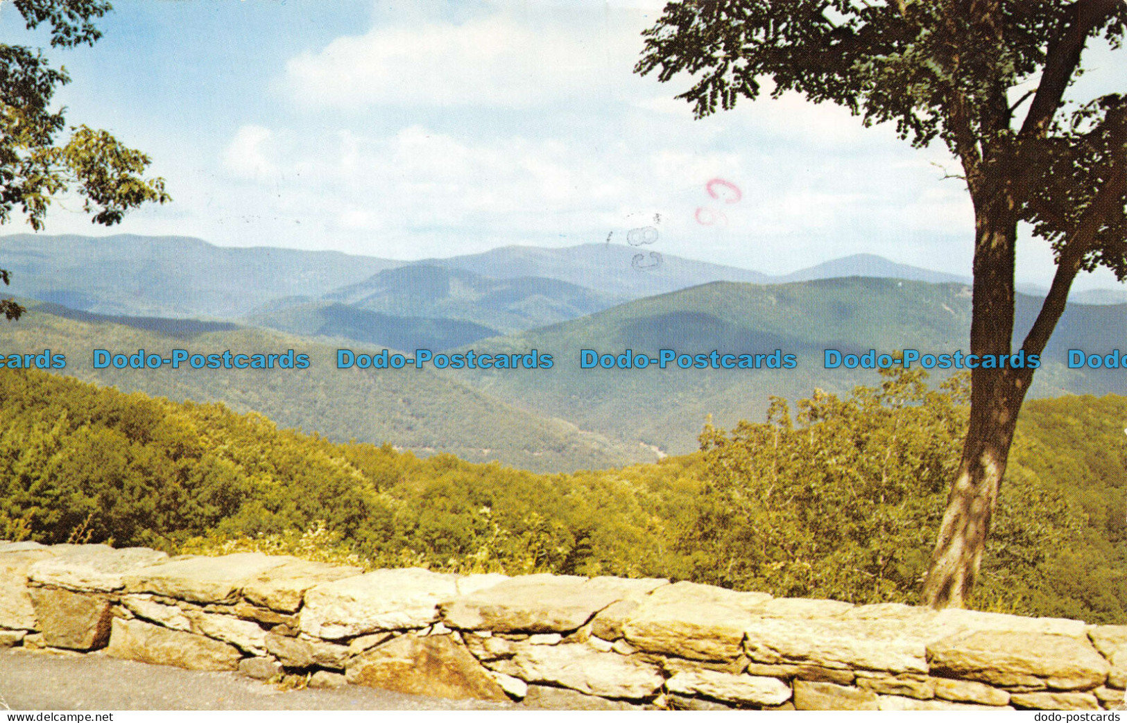 R081896 Panoramic View From Buck Hollow Overlook. Shenandoah National Park. Virg - World