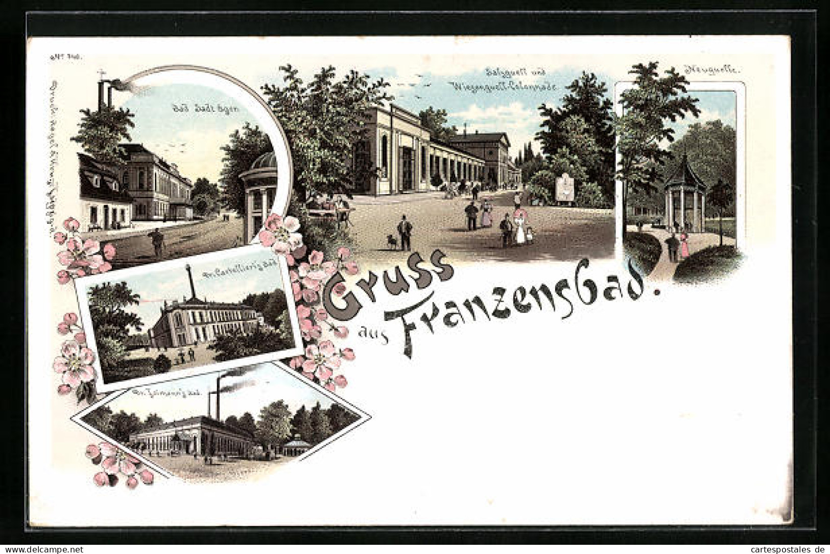 Lithographie Franzensbad, Salzquell Und Wiesenquell-Colonnade, Neuquelle  - Tschechische Republik