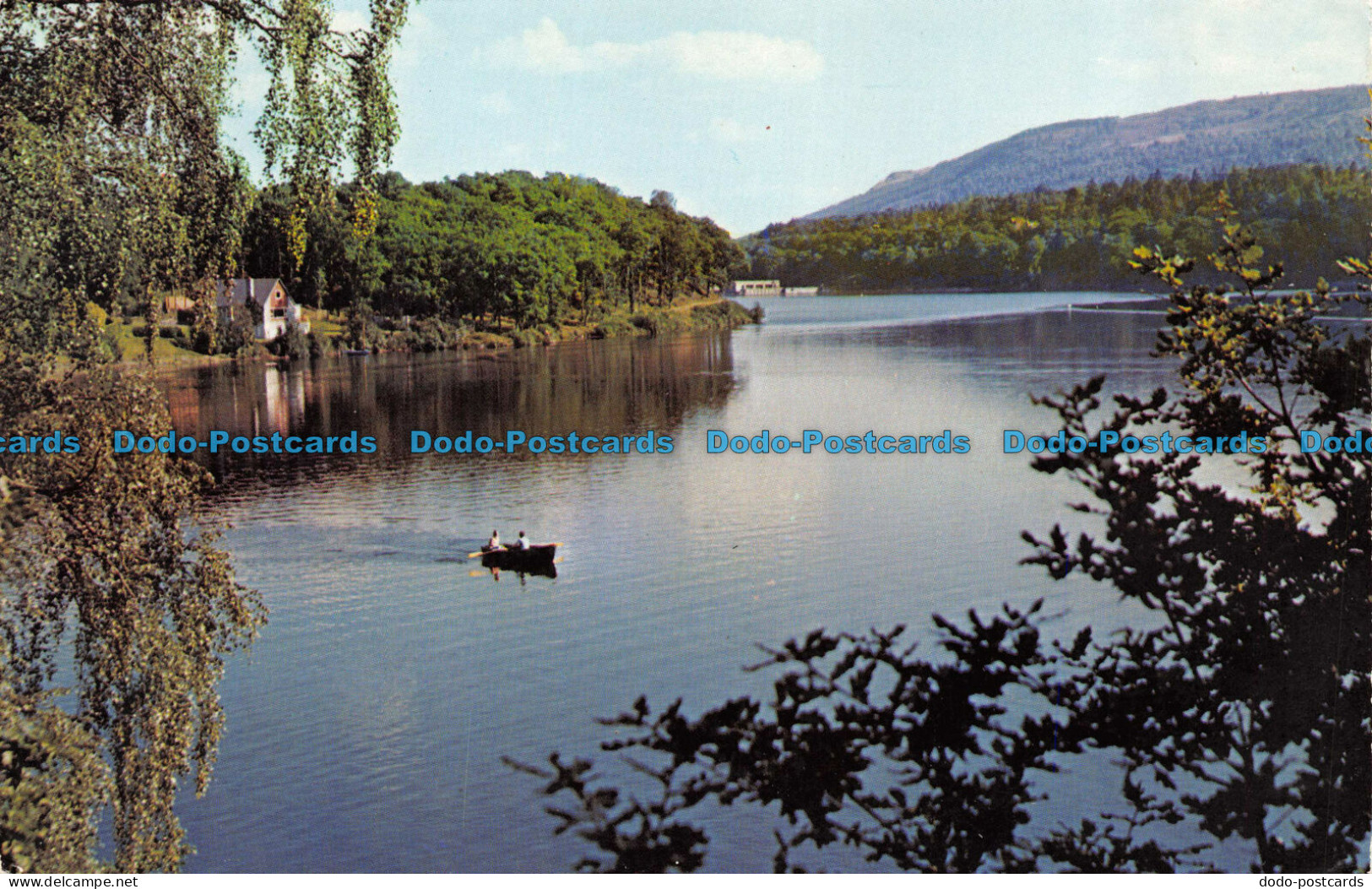 R082439 Loch Faskally. Perthshire. Scotland. Dexter - Monde