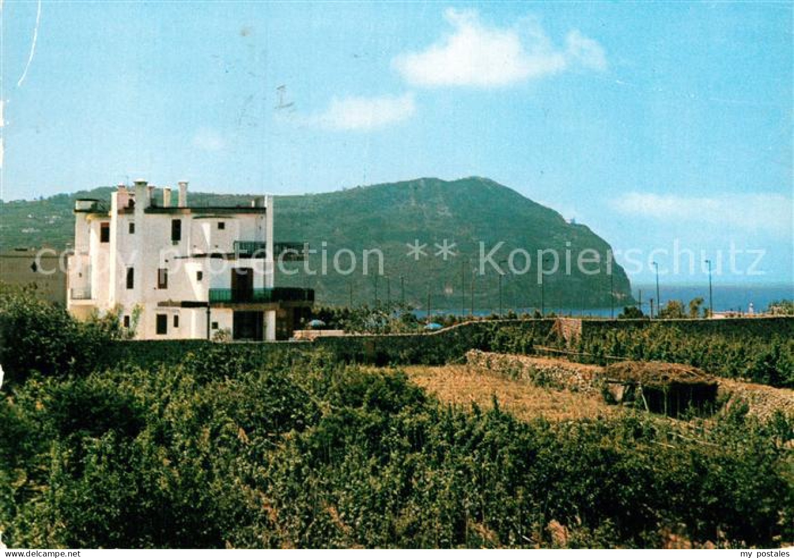 72966431 Forio D Ischia Hotel Gattopardo Firenze - Andere & Zonder Classificatie