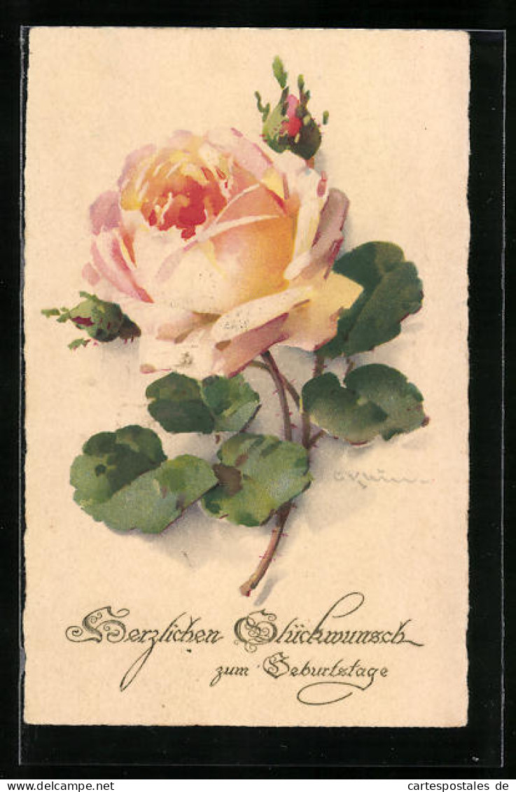 Künstler-AK Catharina Klein: Prachtvolle Rosenblüte, Herzlichen Glückwunsch Zum Geburtstag  - Klein, Catharina