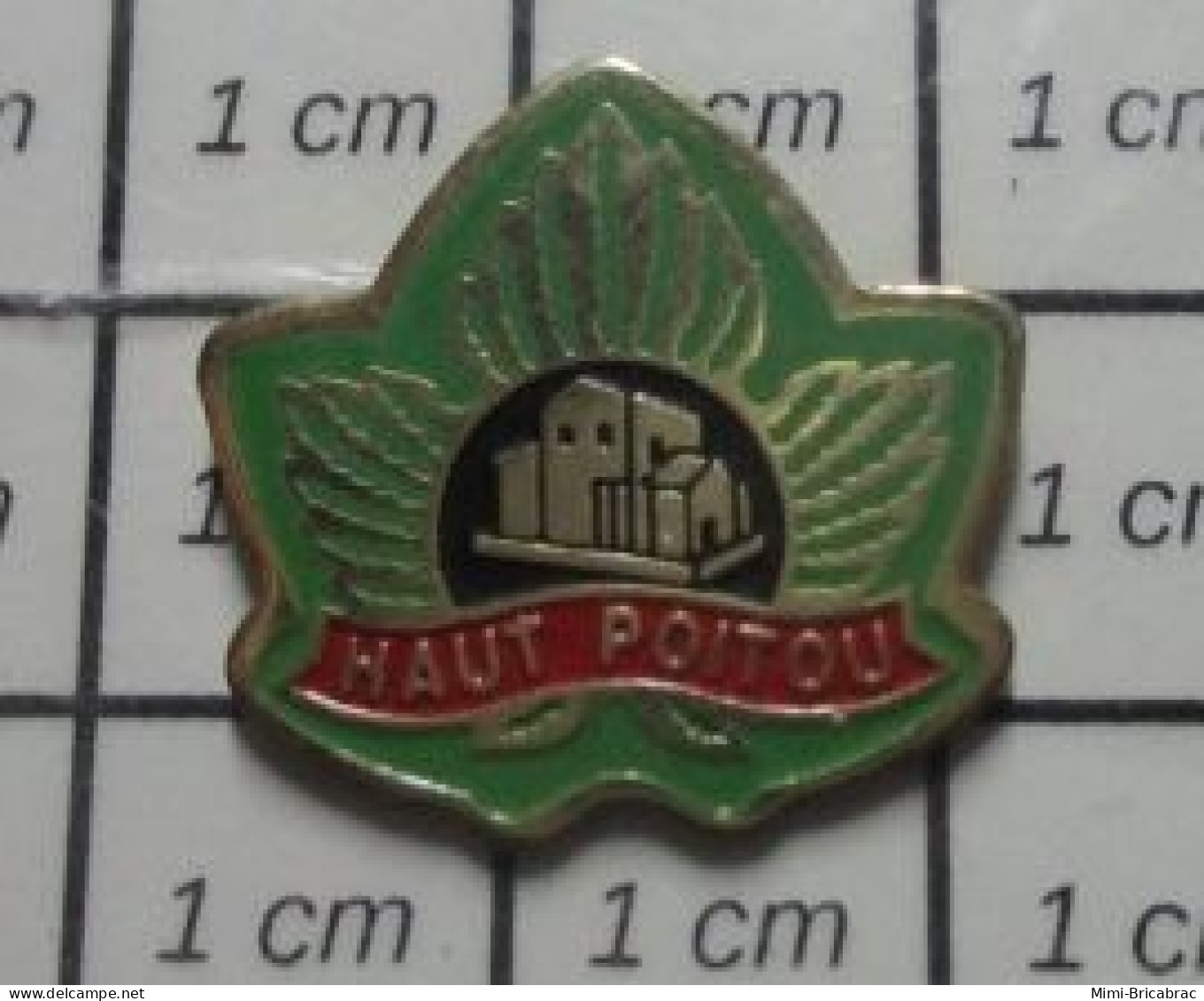 912B Pin's Pins / Beau Et Rare / THEME : MARQUES / FEUILLE VERTE HAUT-POITOU - Marcas Registradas