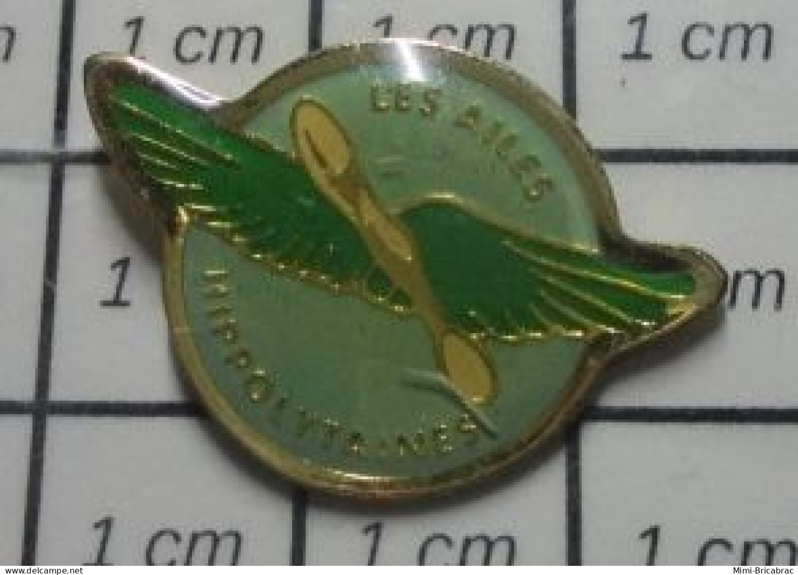 912b Pin's Pins / Beau Et Rare / AVIATION / LES AILES HYPPOLITAINES - Aviones