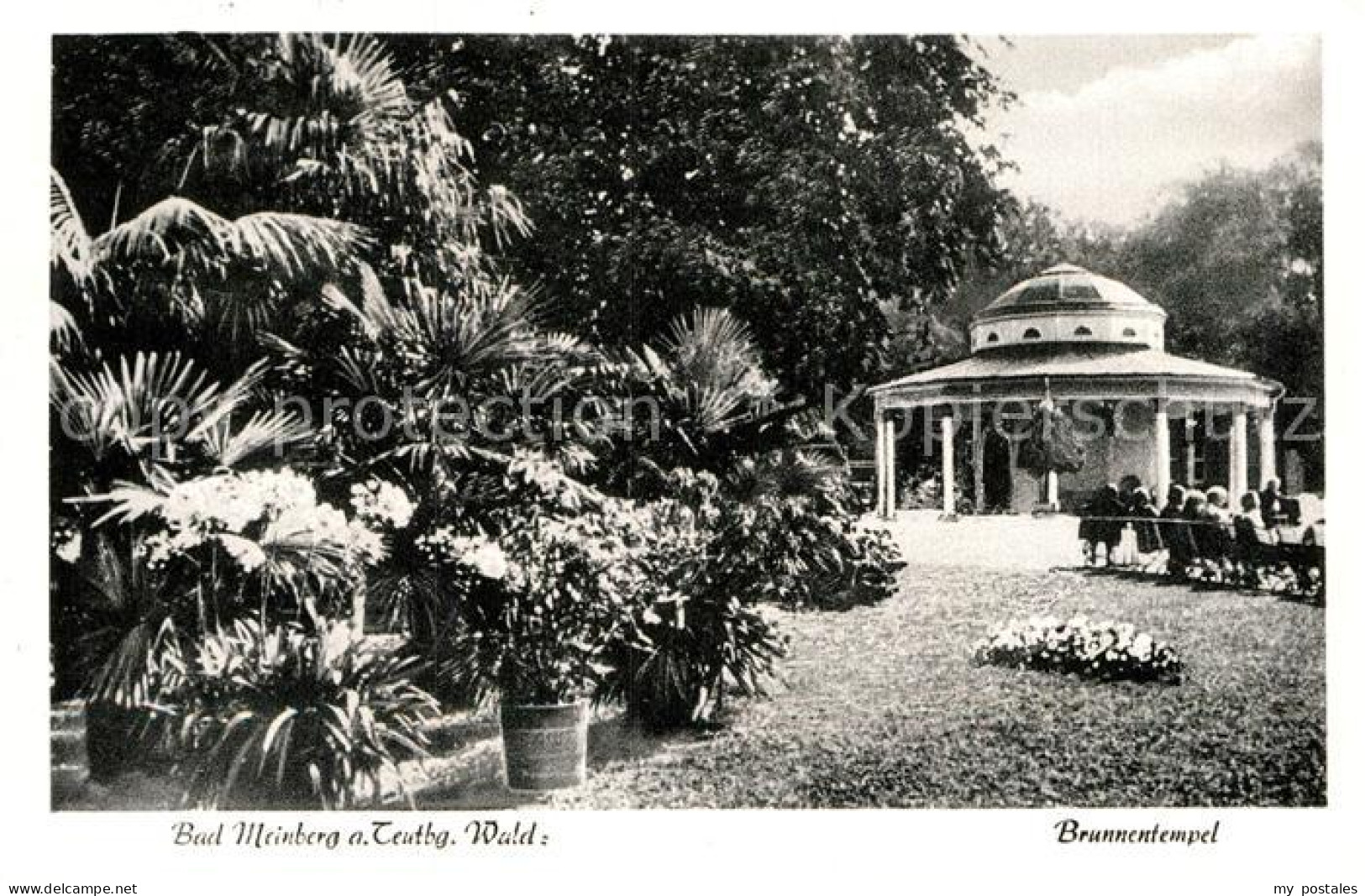 72961973 Bad Meinberg Brunnentempel Kurort Am Teutoburger Wald Bad Meinberg - Bad Meinberg