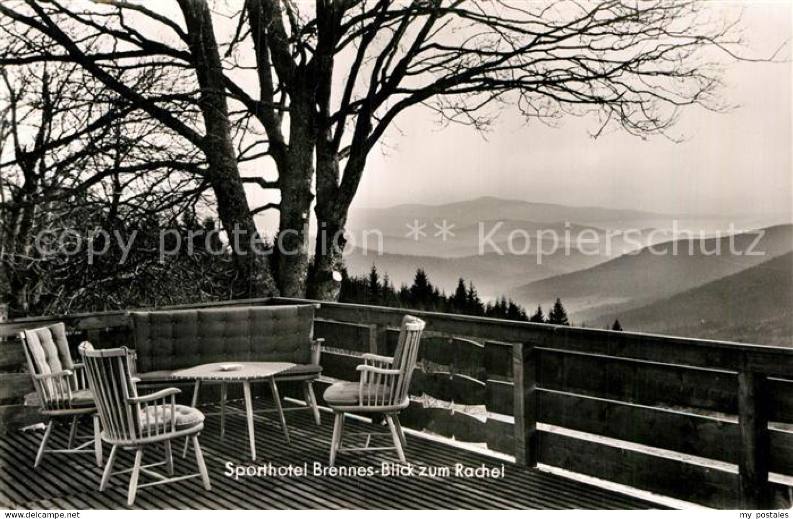 72961952 Bayerisch Eisenstein Sporthotel Brennes Terrasse Blick Zum Rachel Bayer - Autres & Non Classés