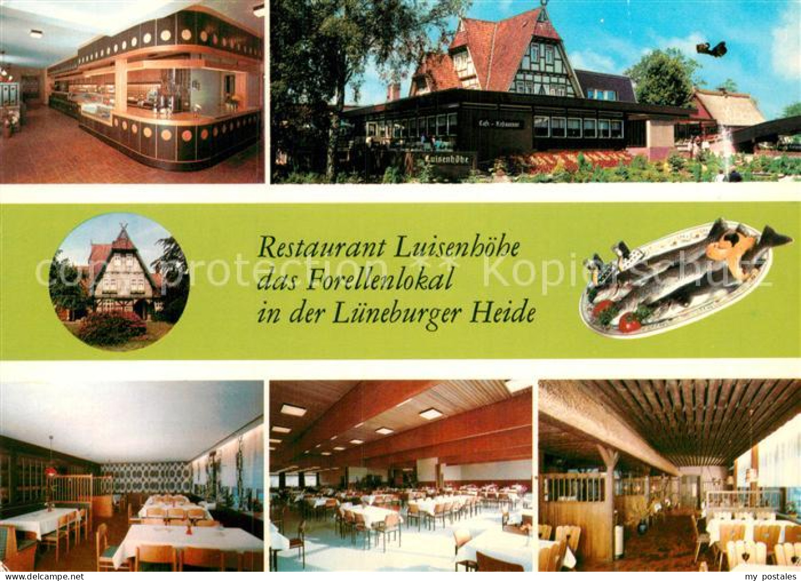 72961891 Walsrode Lueneburger Heide Restaurant Luisehoehe Speisesaal Gastraeume  - Walsrode