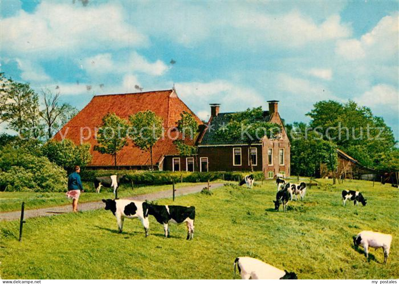 72961060 Friesland Niederlande Kop Hals Rompboerderij Bauernhof Landwirtschaft V - Altri & Non Classificati