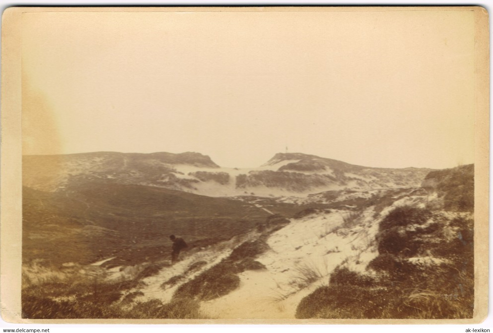 Insel Sylt Partie In Den Dünen Sylt - CDV Kabinettfoto 1895 Kabinetfoto - Andere & Zonder Classificatie