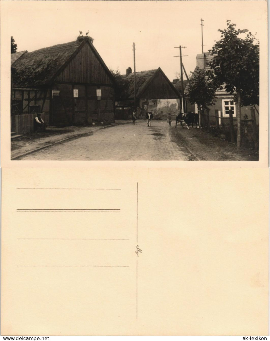 Swinemünde Świnoujście Straßenpartie Umland 1929 Privatfoto Foto - Pommern