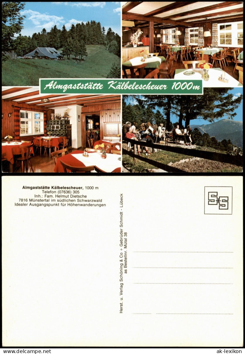 Ansichtskarte Münstertal/Schwarzwald Almgaststätte Kälbelescheuer 1984 - Münstertal