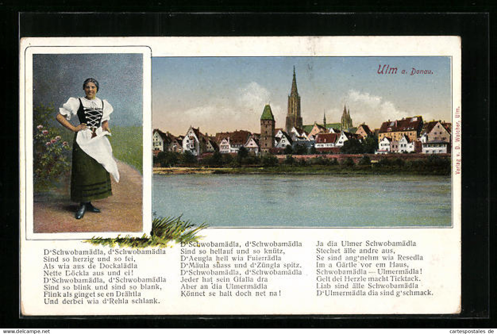 AK Ulm A. D., Panorama Der Stadt, Schwabenmädla, Gedicht  - Ulm
