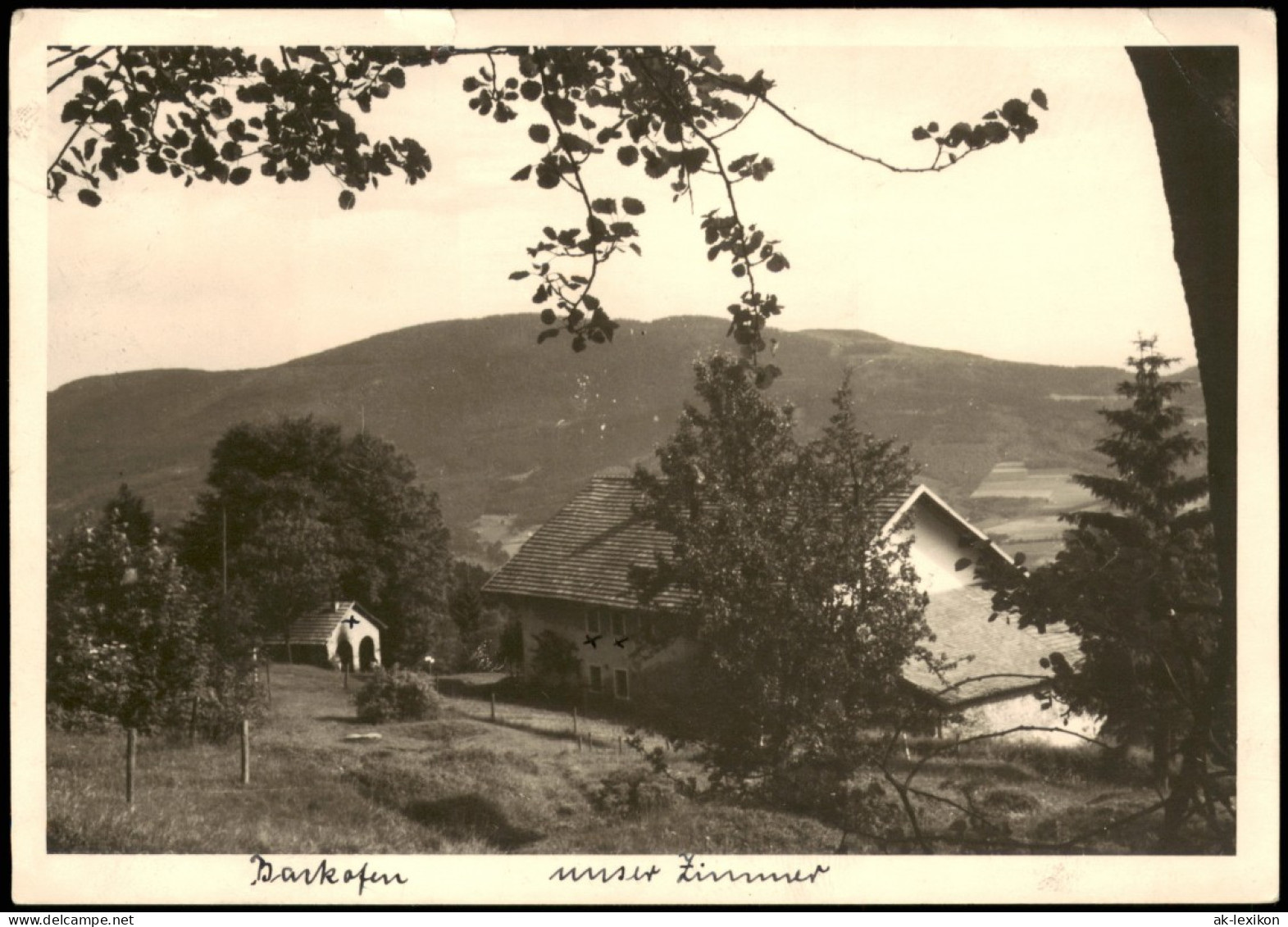 Postcard Backofen An Der Iser Bakov Nad Jizerou Pension 1955 - Tschechische Republik