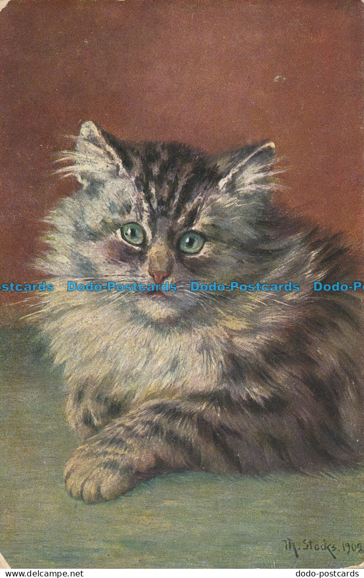 R083010 Old Postcard. A Cat. Hildesheimer. No 5217. 1905 - World