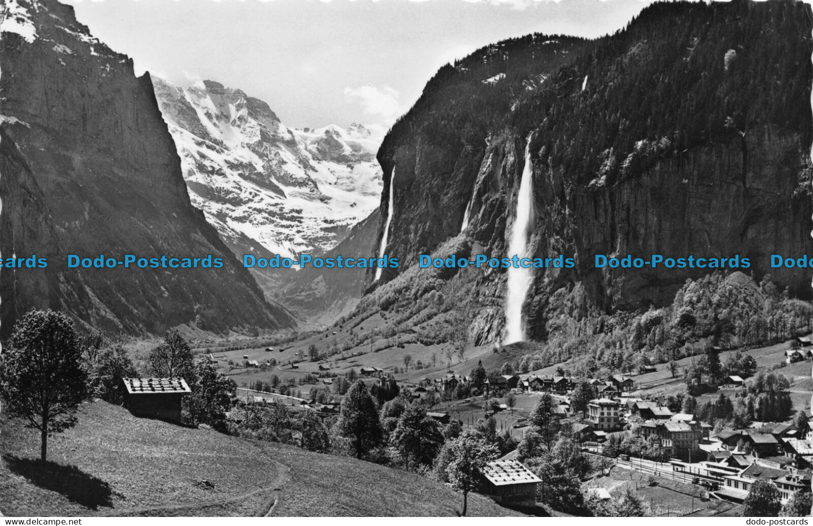 R082548 Lauterbrunnen. Staubbach. Walter Schild - World