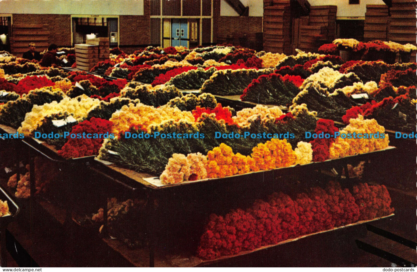 R082551 Aalsmeer. Interior Flower Auction - World