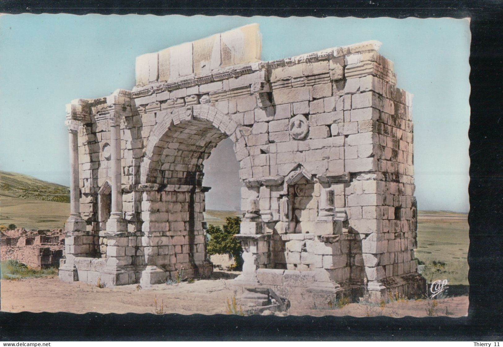 Cpsm Volubilis Ruines Romaines Arc De Triomphe De Caracalla - Autres & Non Classés