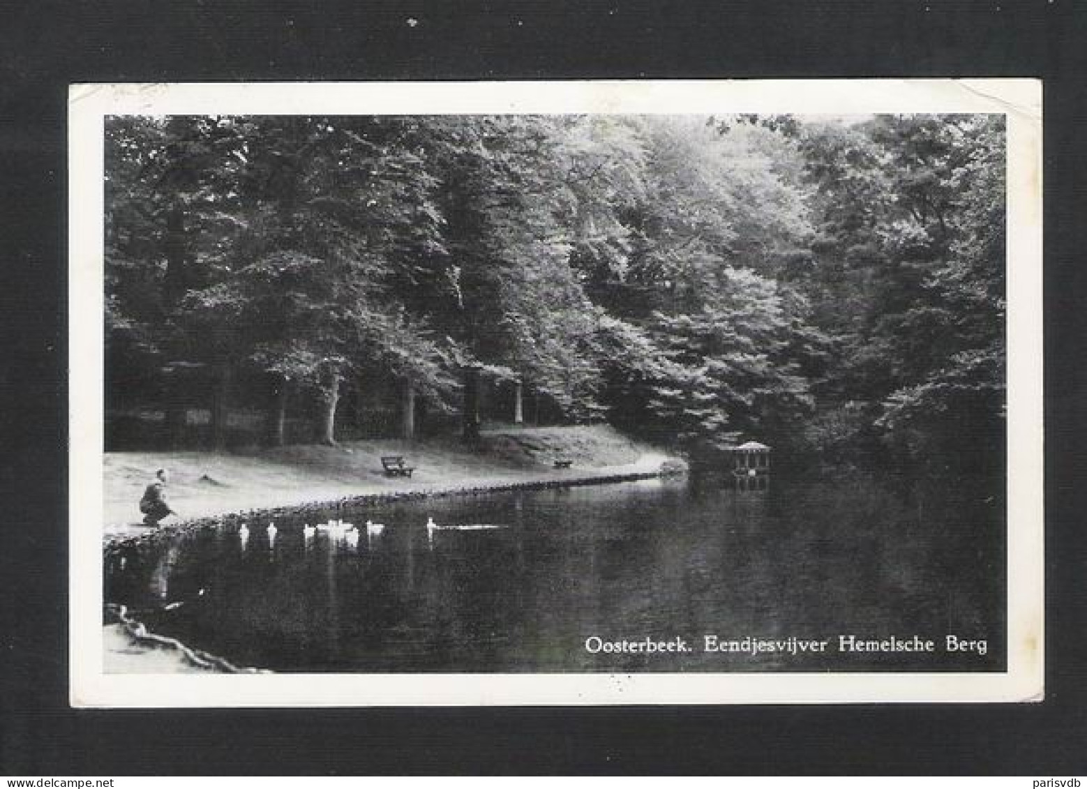 OOSTERBEEK - Eendjesvijver Hemelsche Berg  (NL 10337) - Oosterbeek