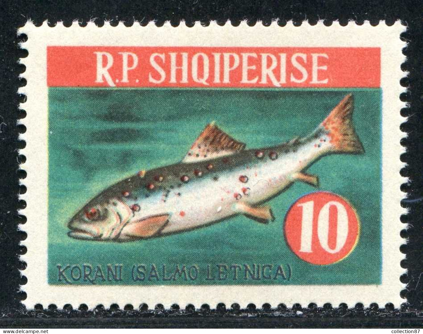 REF093 > ALBANIE < Yv N° 676 * *  Neuf Luxe Dos Visible - MNH * * -- Poisson Samon - Fish Salmo Letnica - Albanie