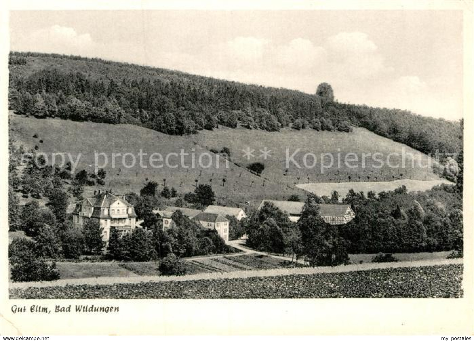 72952778 Bad Wildungen Gut Elim Albertshausen - Bad Wildungen