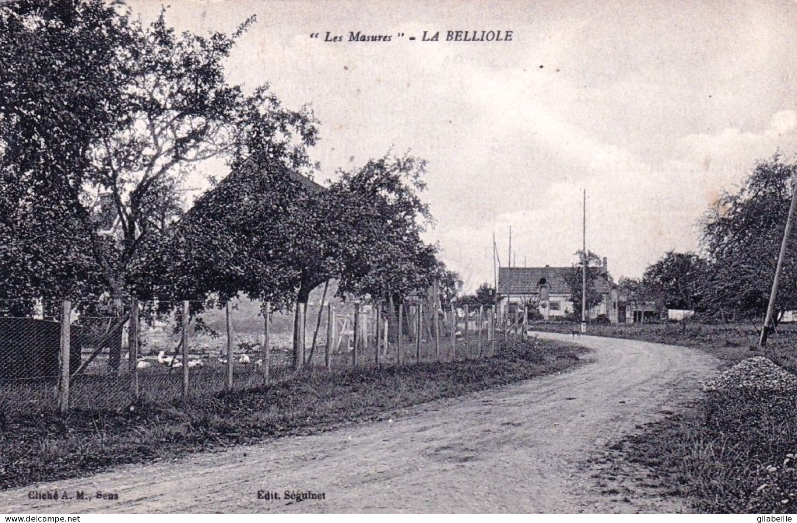 89 - Yonne - LA BELLIOLE - Les Masures - Andere & Zonder Classificatie