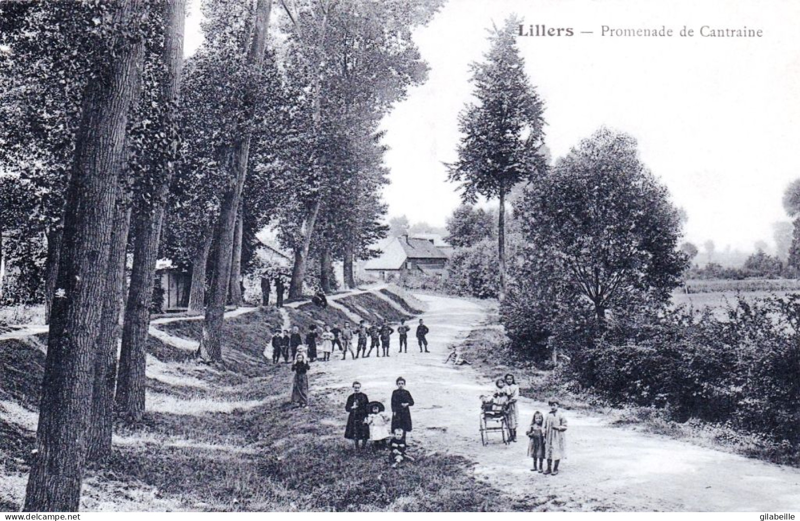 62 - Pas De Calais - LILLERS - Promenade De Cantraine - Lillers