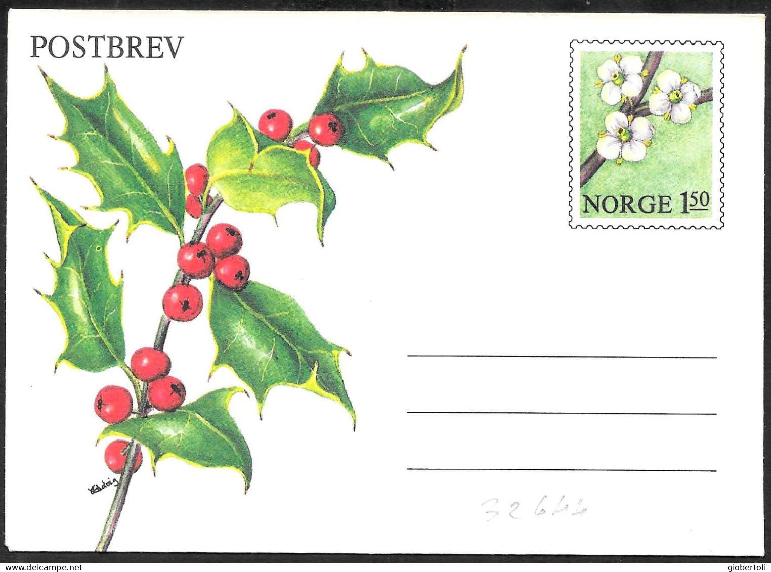 Norvegia/Norway/Norvège: Intero, Stationery, Entier, Agrifoglio, Holly, Houx, Pianta Di Natale, Christmas Plant, Plante - Weihnachten