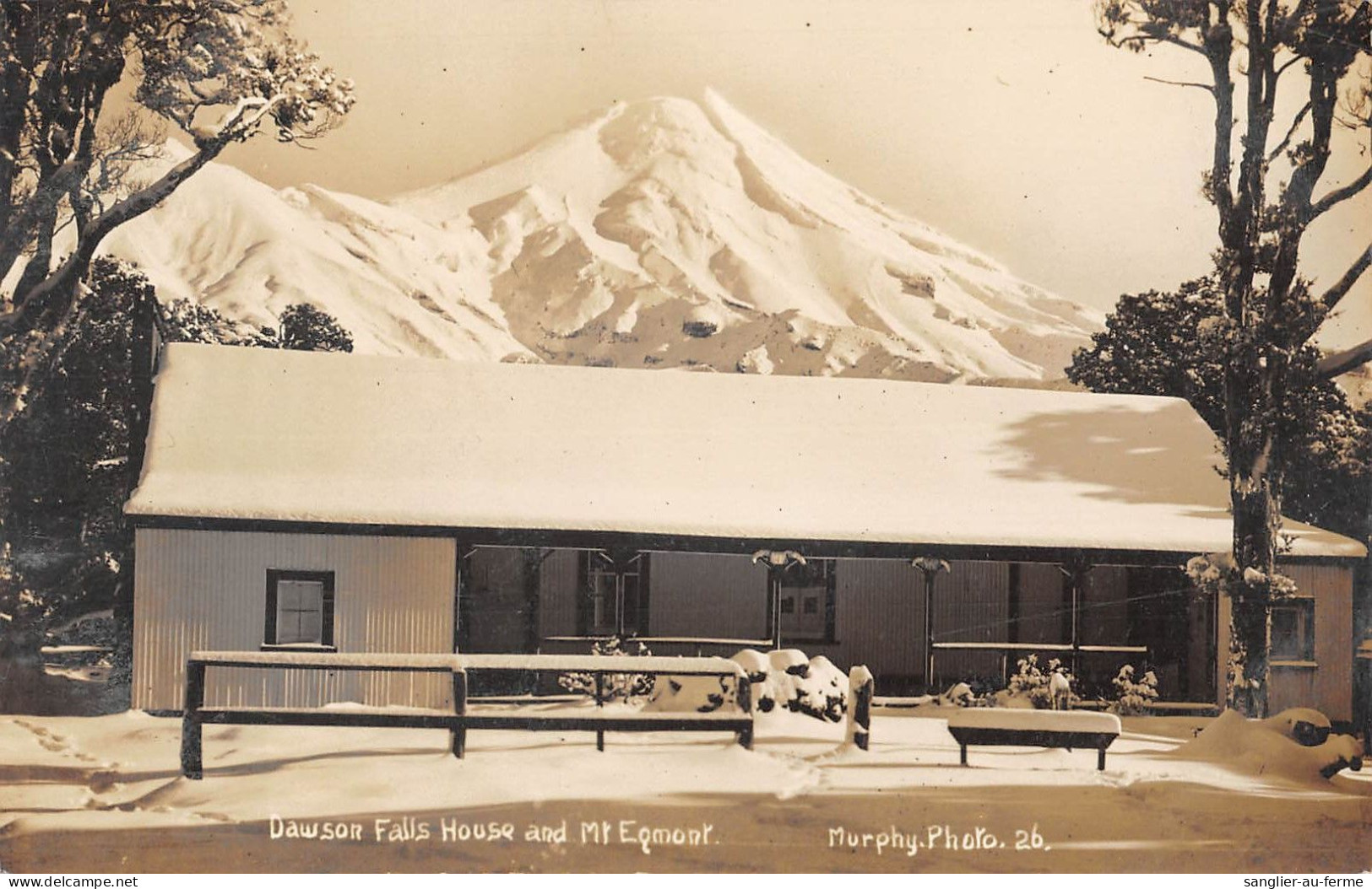 CPA AUSTRALIE / NOUVELLE ZELANDE / CARTE PHOTO / DAWSON FALLS HOUSE ANS Mt ESPOIR - Other & Unclassified