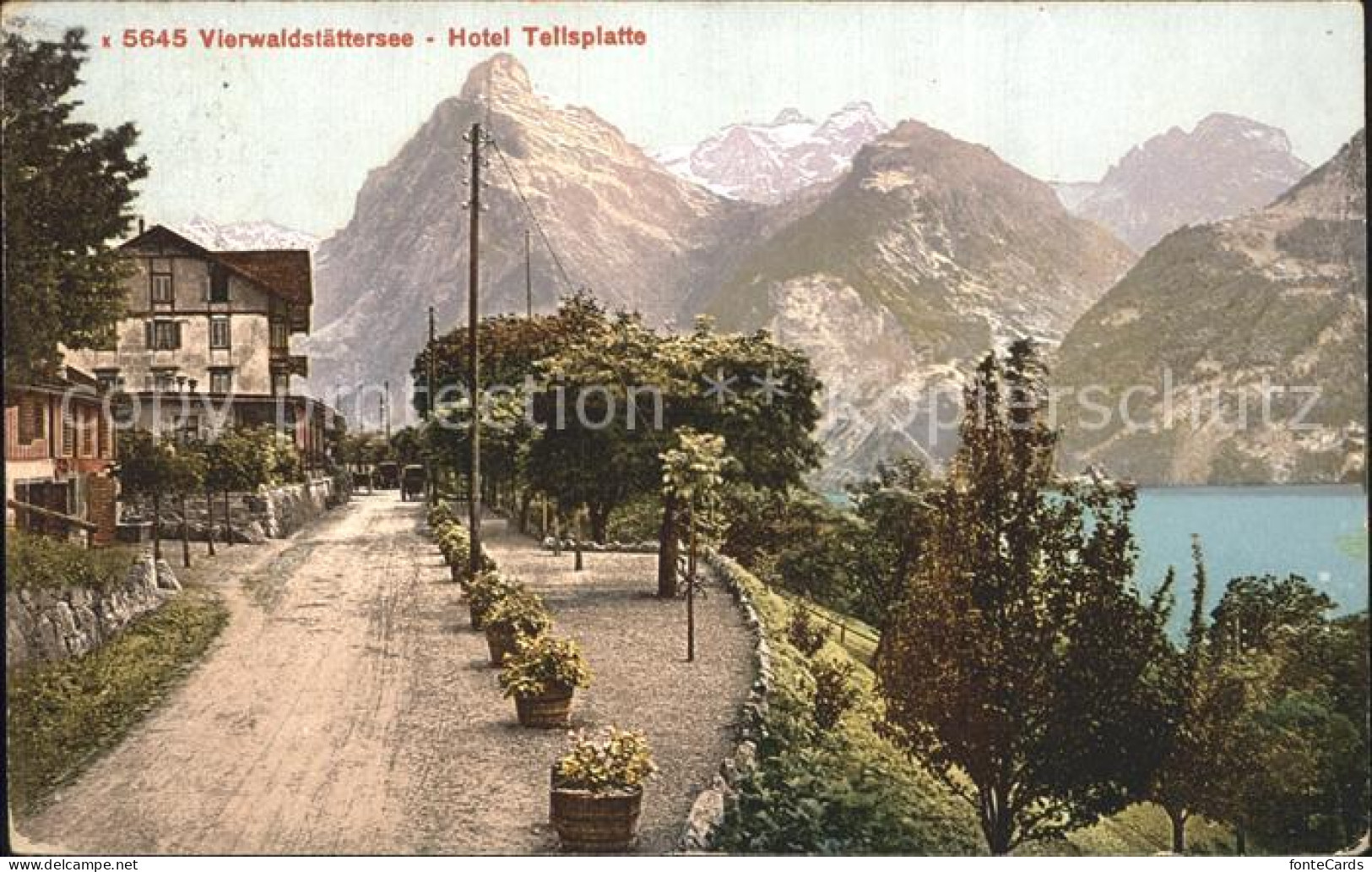 12346116 Vierwaldstaettersee SZ Hotel Tellsplatte Vierwaldstaettersee SZ - Autres & Non Classés