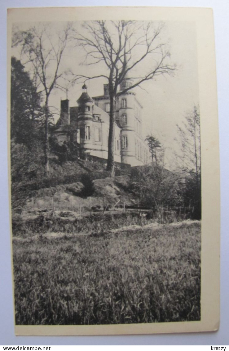 FRANCE - INDRE ET LOIRE - ROUZIER DE TOURAINE - Château De Rochefort - Autres & Non Classés