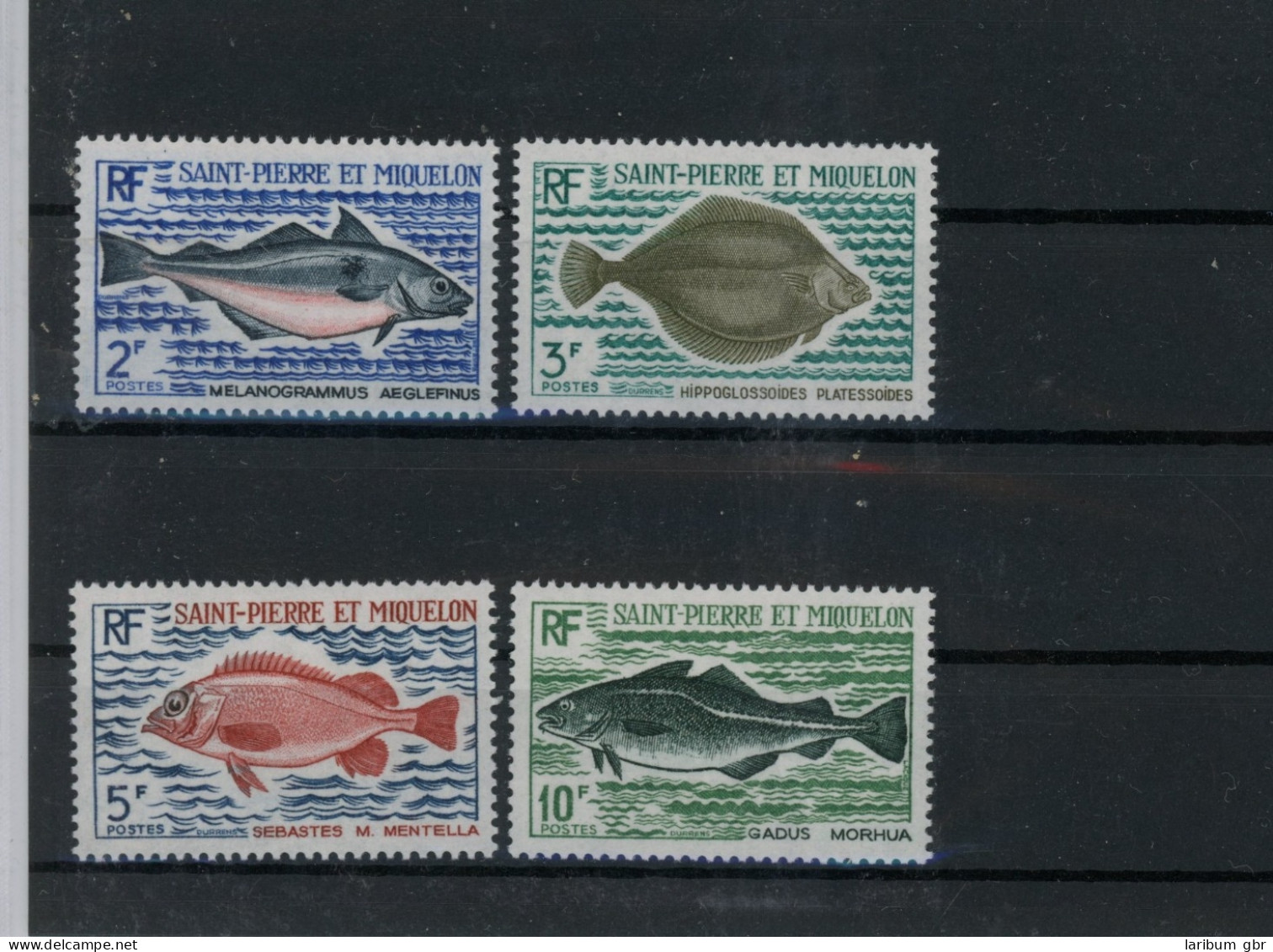 St. Pierre Et Miquelon 478-481 Postfrisch Fische #JL226 - Anguilla (1968-...)