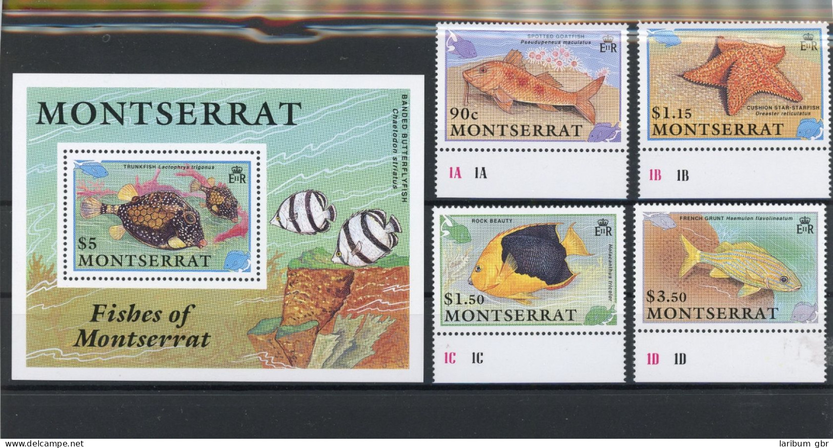 Montserrat 795-798, Block 60 Postfrisch Fische #IN003 - Anguilla (1968-...)