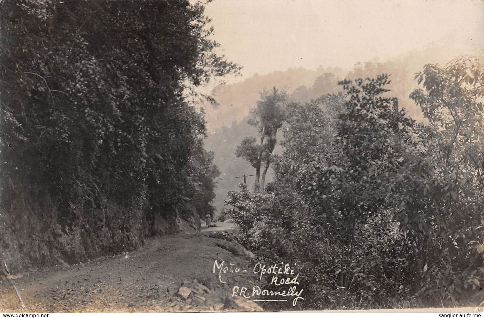 CPA AUSTRALIE / NOUVELLE ZELANDE / CARTE PHOTO OPOTIKI ROAD - Otros & Sin Clasificación