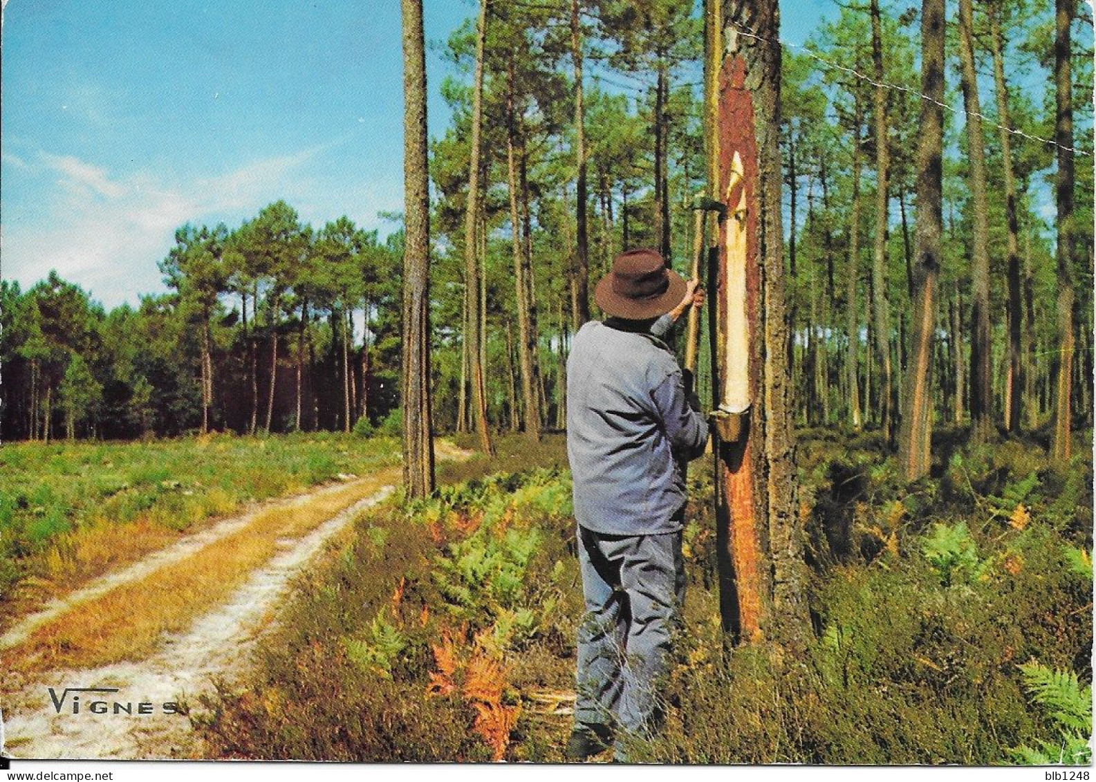 40 LANDES  Visages Des Landes Le Gemmeur 03 - Autres & Non Classés