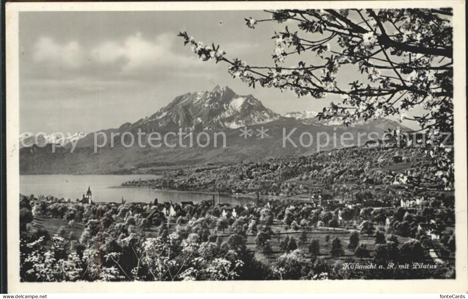 12334336 Kuessnacht Panorama Mit Pilatus Kuessnacht Am Rigi - Otros & Sin Clasificación