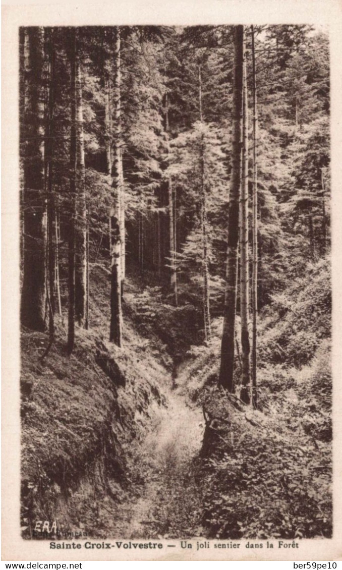 09 SAINTE-CROIX-DE-VOLVESTRE UN JOLI SENTIER DANS LA FORET - Sonstige & Ohne Zuordnung