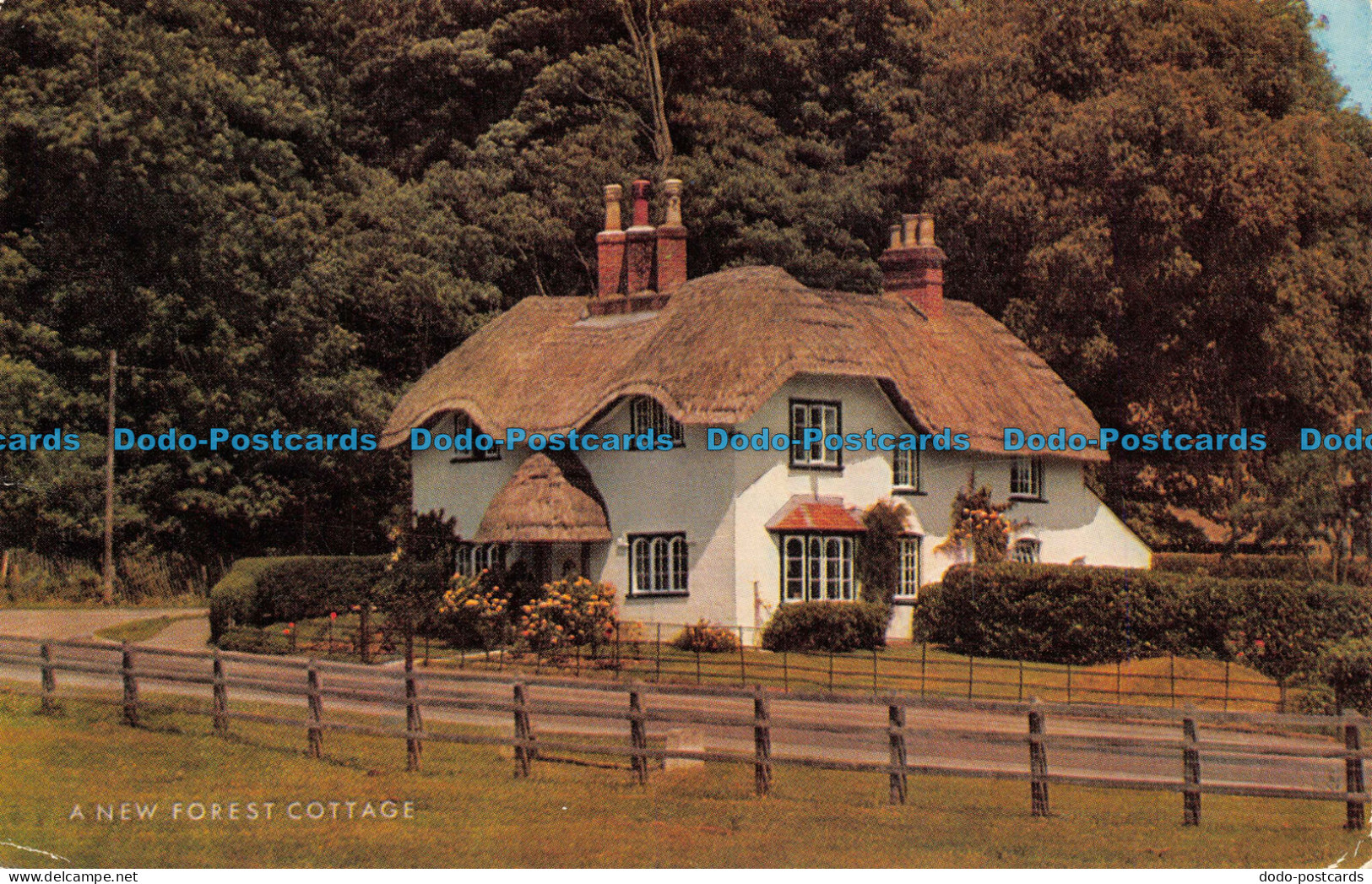 R082645 A New Forest Cottage. Salmon. 1975 - World