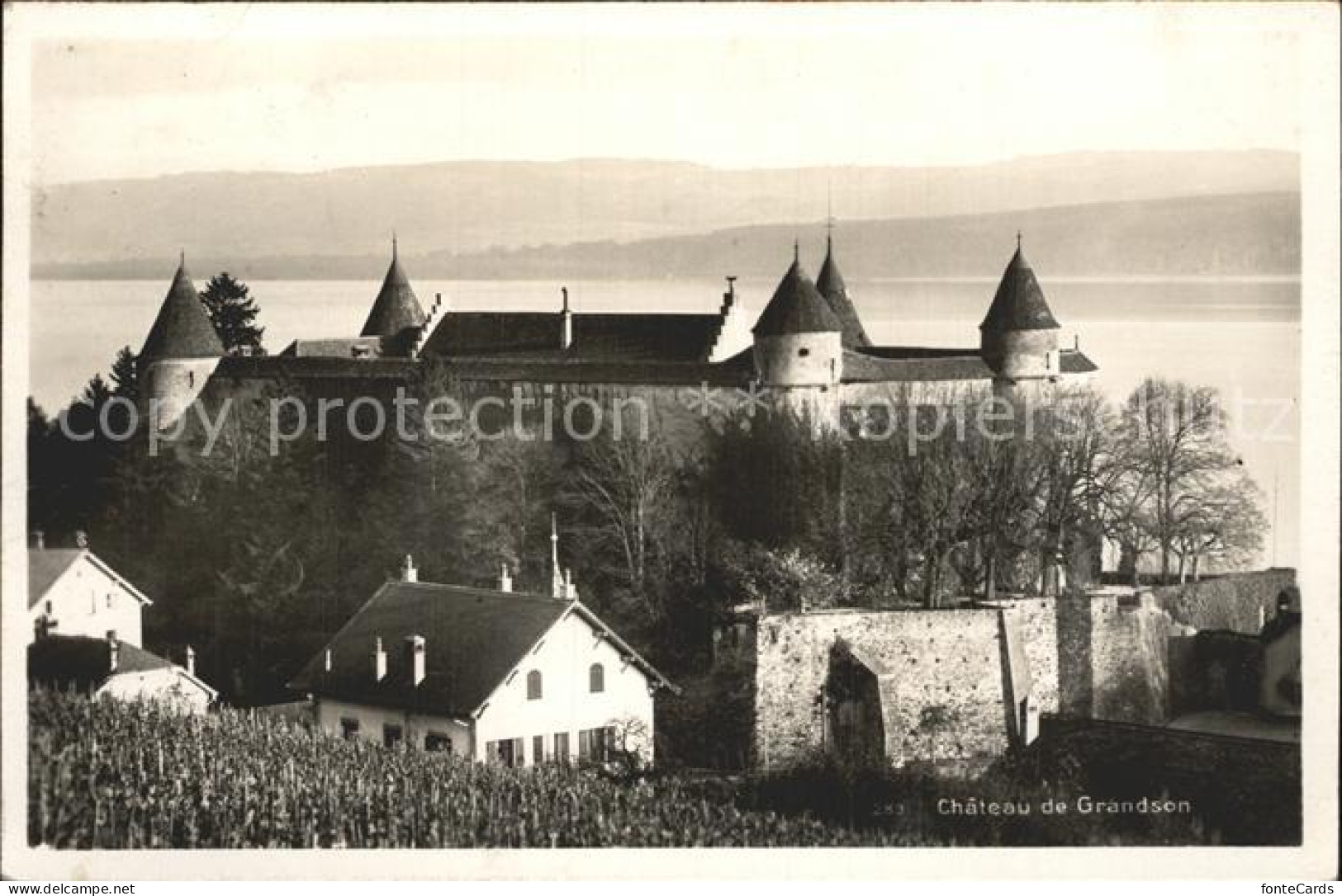 12321046 Grandson Chateau Lac Leman Schloss Genfersee Grandson - Altri & Non Classificati