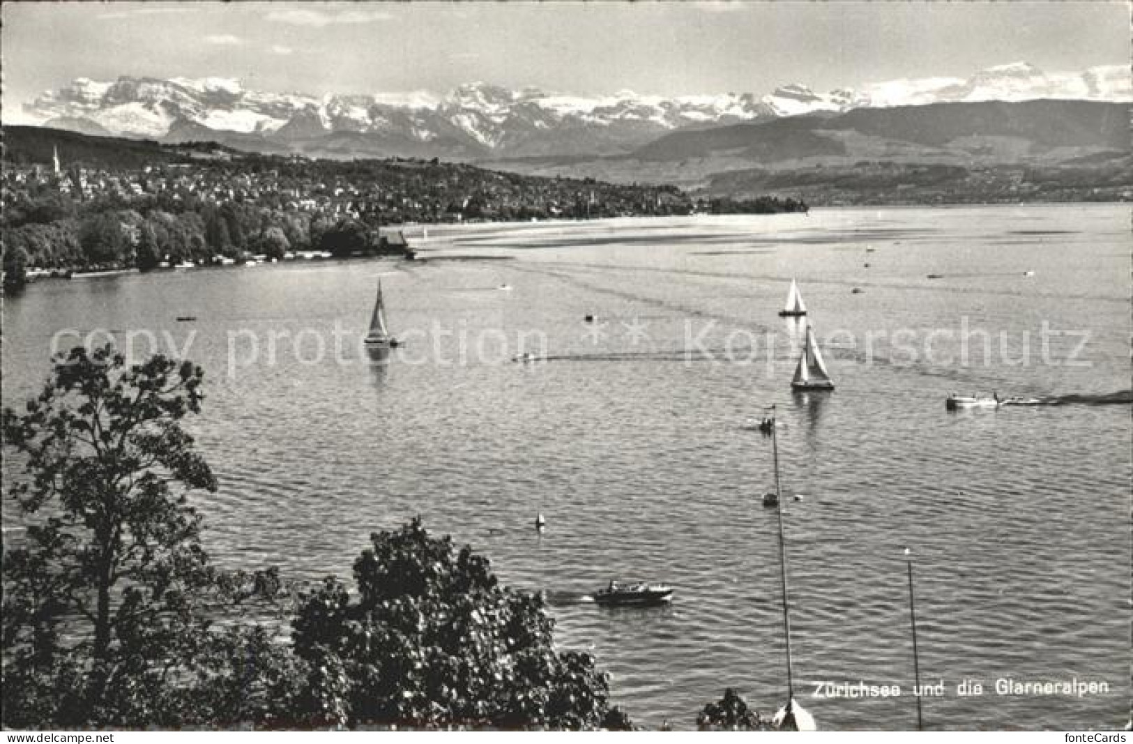 12320976 Zuerich Panorama Zuerichsee Glarner Alpen Zuerich - Sonstige & Ohne Zuordnung