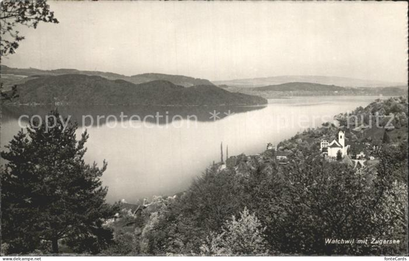 12320616 Walchwil Zugersee Walchwil - Sonstige & Ohne Zuordnung