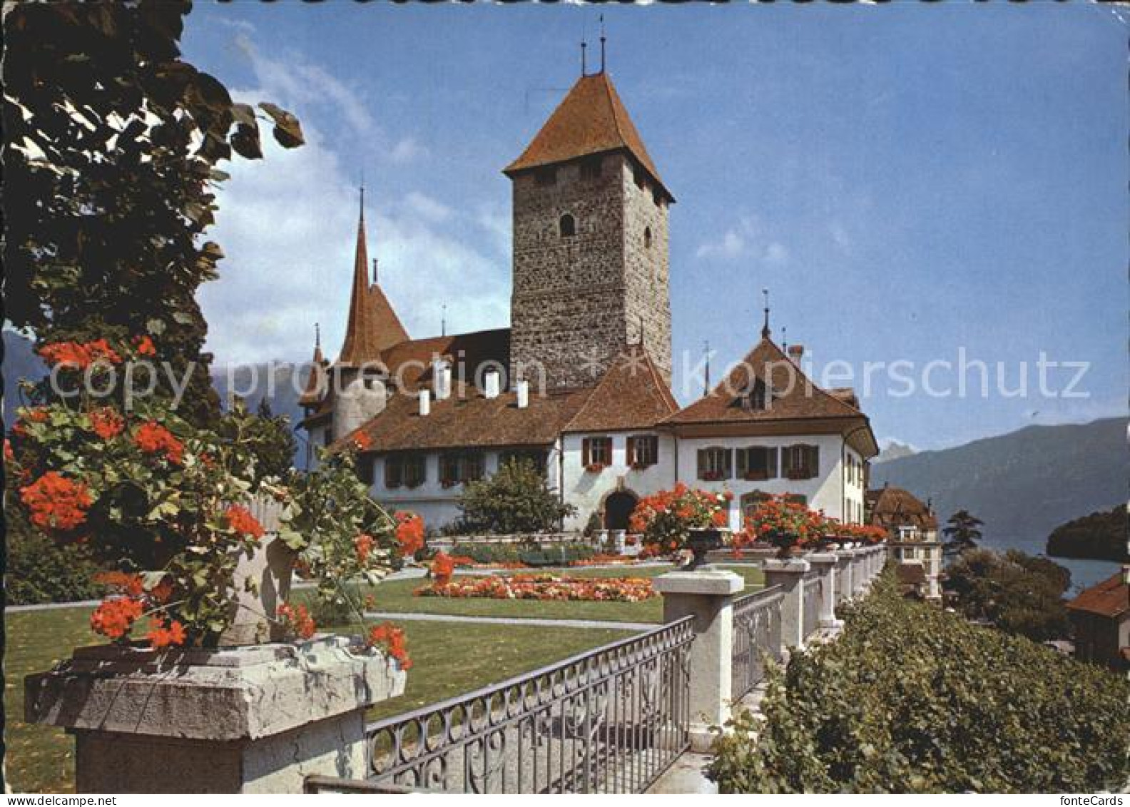 12286546 Spiez BE Schloss  Spiez - Autres & Non Classés