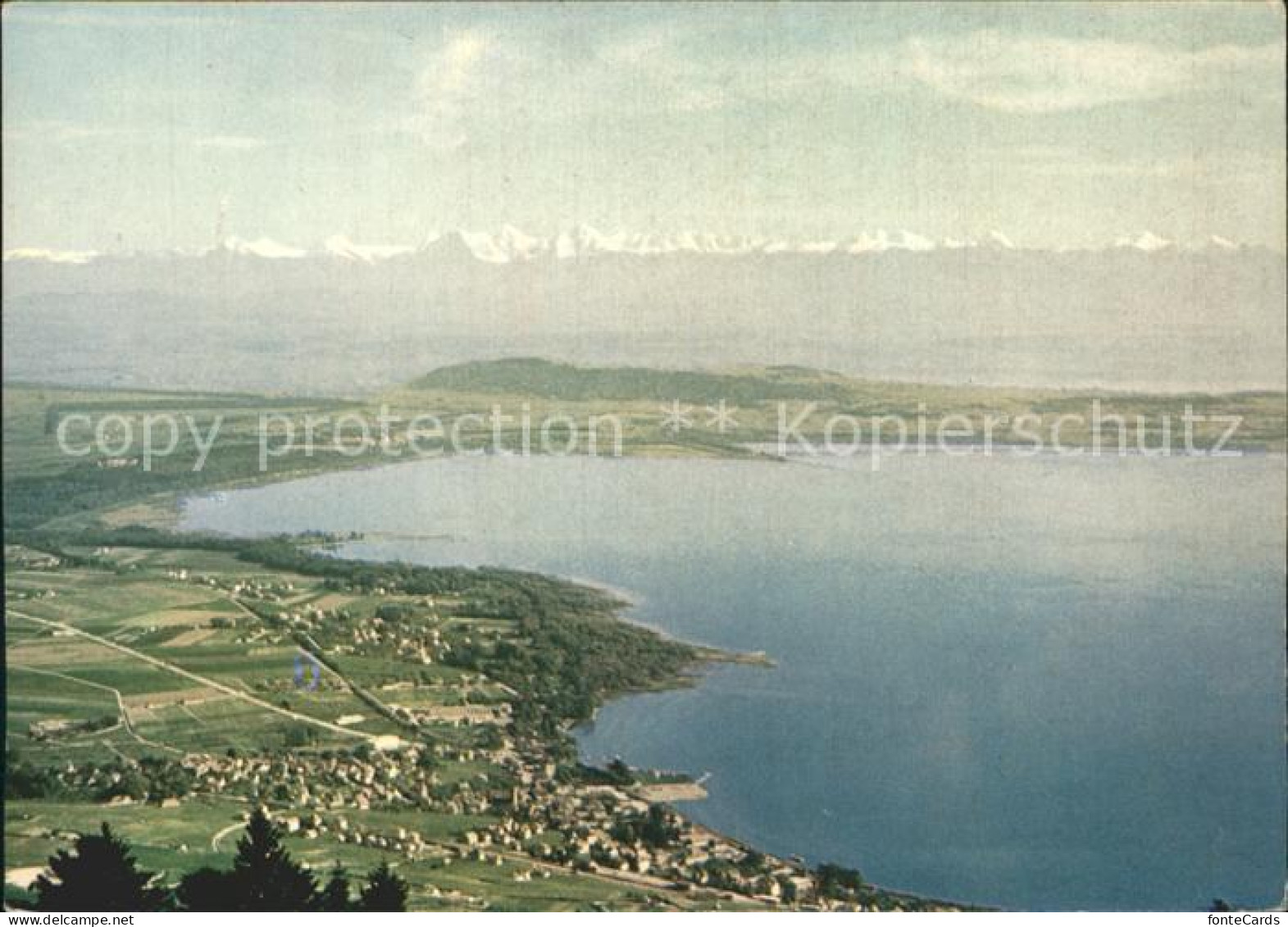 12254776 Chaumont NE Vue Sur Le Lac Et Les Alpes Chaumont NE - Altri & Non Classificati