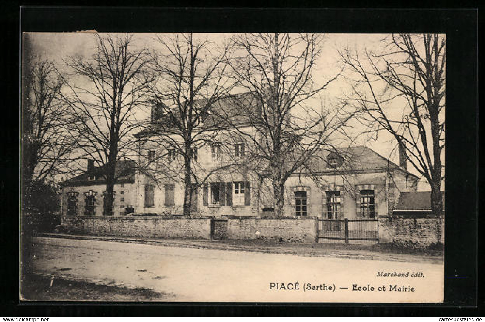 CPA Piacé, Ecole Et Mairie  - Other & Unclassified