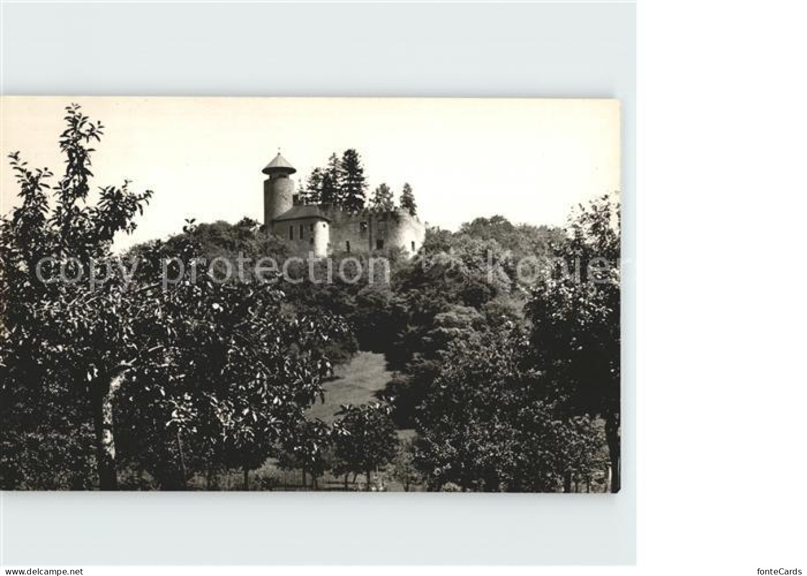 12117336 Arlesheim Schloss Birseck Arlesheim - Sonstige & Ohne Zuordnung