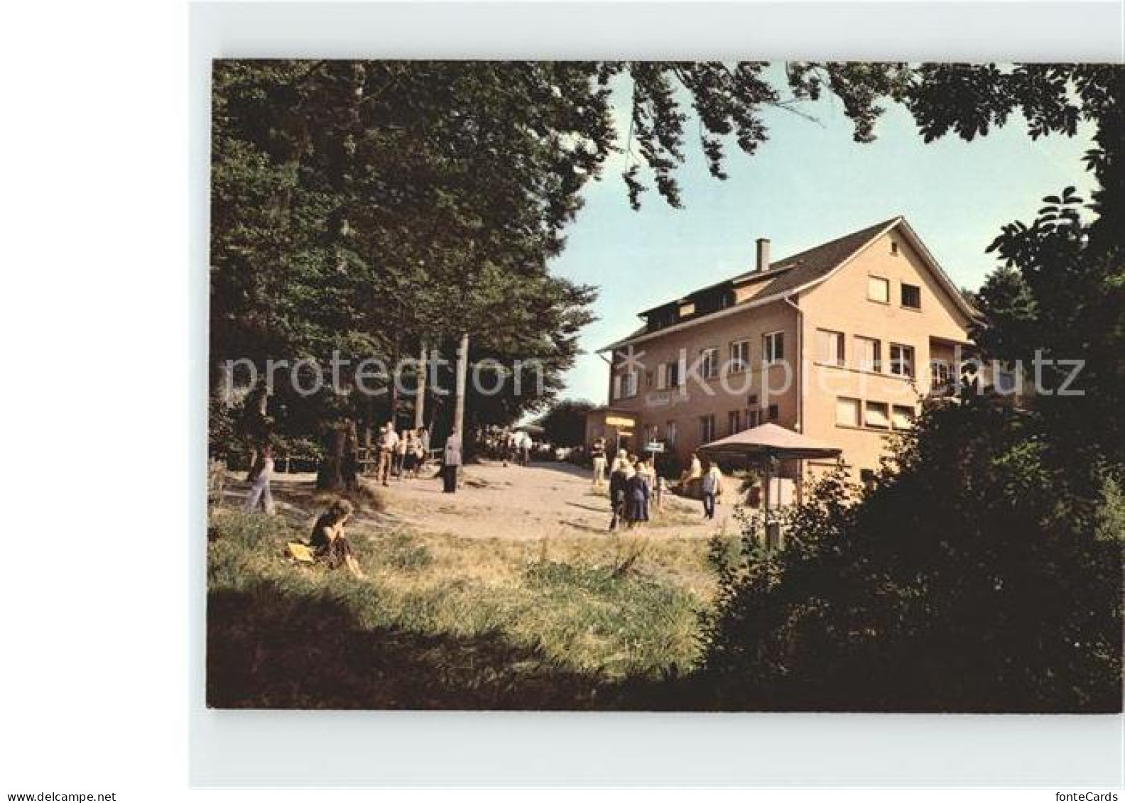 12081096 Adliswil Felsenegg Auf Dem Albisgrat Adliswil - Sonstige & Ohne Zuordnung