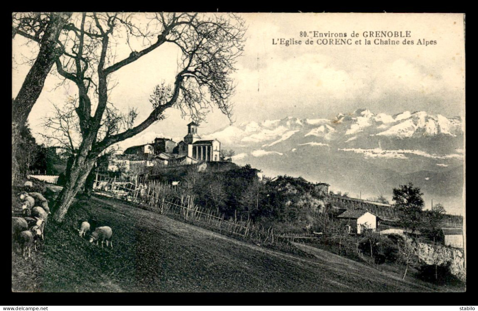 38 - CORENC - L'EGLISE ET LA CHAINE DES ALPES - TROUPEAU DE MOUTONS - Autres & Non Classés