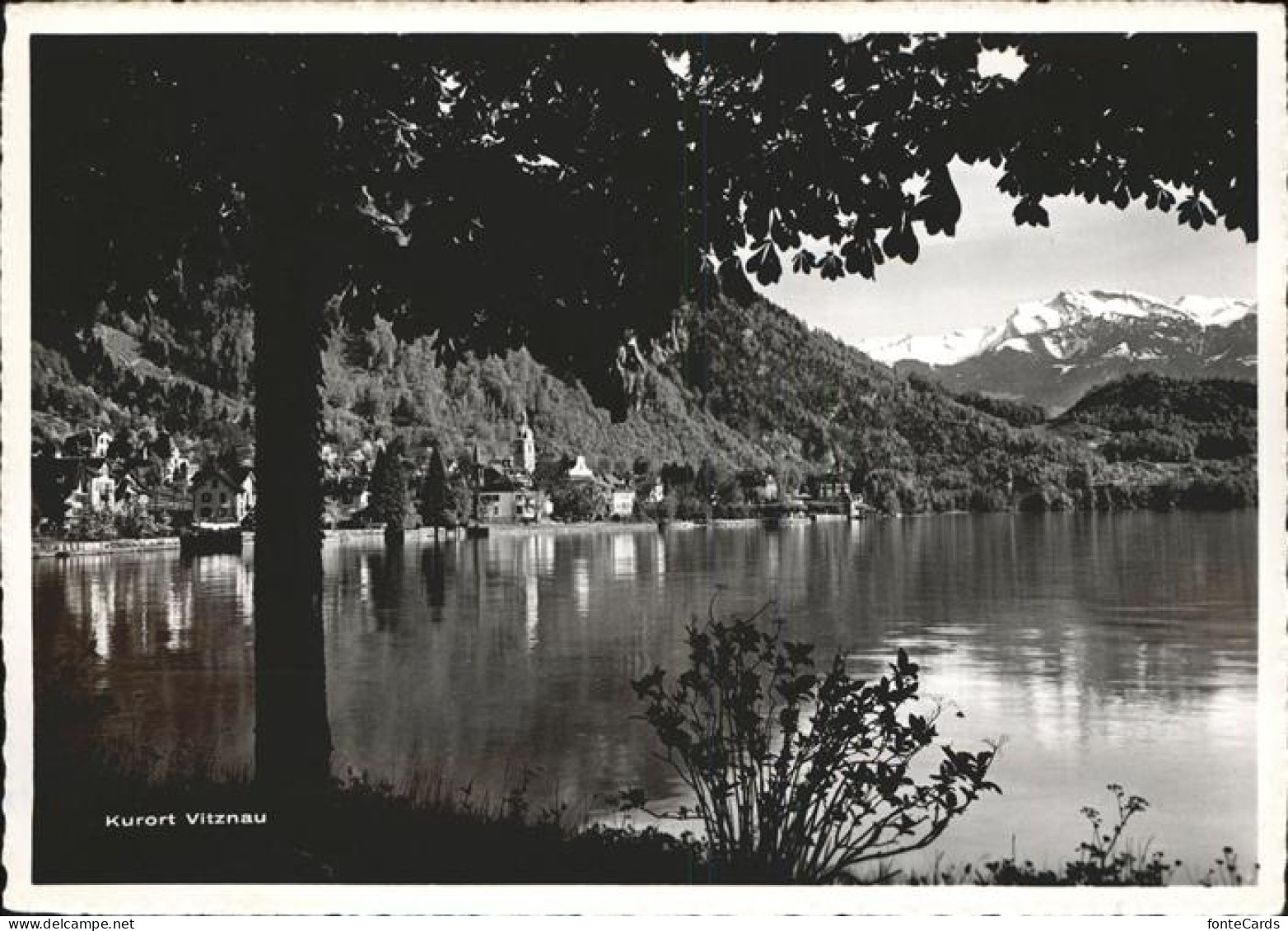 11385516 Vitznau Partie Am Vierwaldstaettersee Mit Schwalmis Vitznau - Sonstige & Ohne Zuordnung