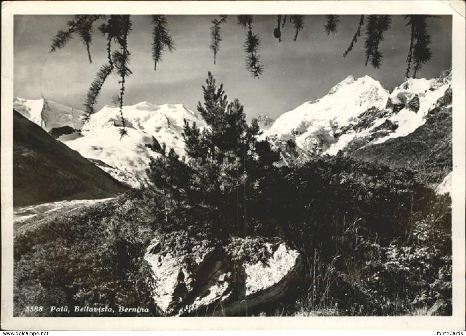 11385460 St Moritz GR Piz Palue Bellavista Bernina St. Moritz - Sonstige & Ohne Zuordnung