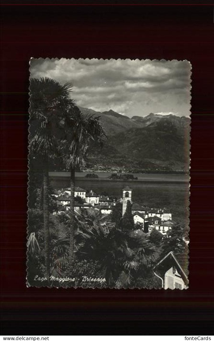 11385448 Brissago TI Ortsansicht Mit Kirche Lago Maggiore Brissago - Altri & Non Classificati